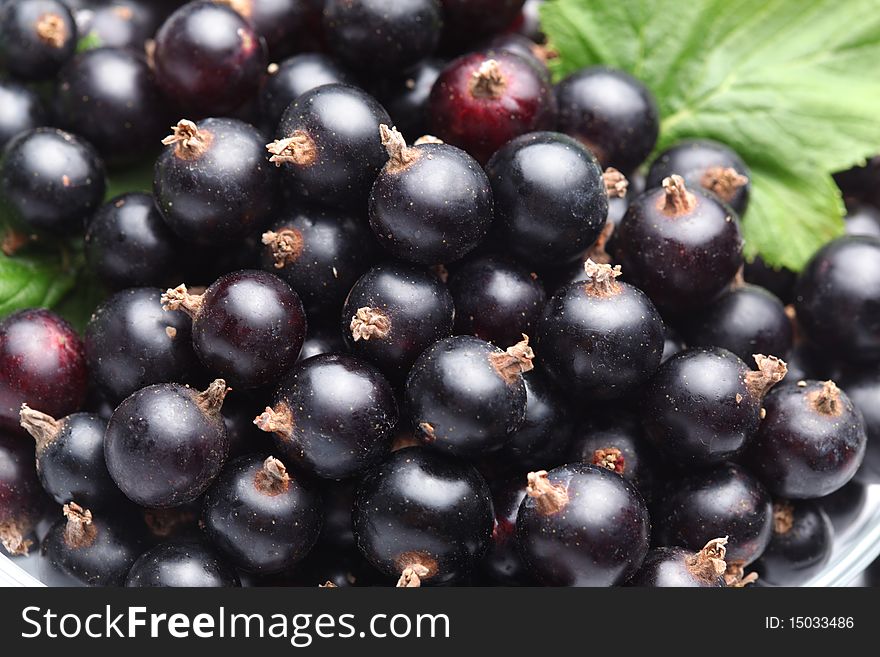 Crockery with black currant.  Close up shot of berries.