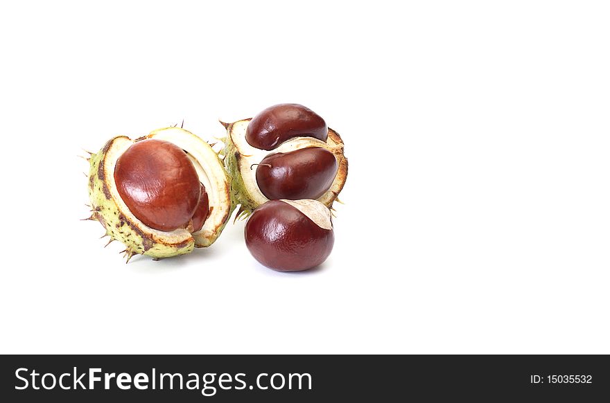 Fun autumn chestnuts isolated on a white background. Fun autumn chestnuts isolated on a white background.