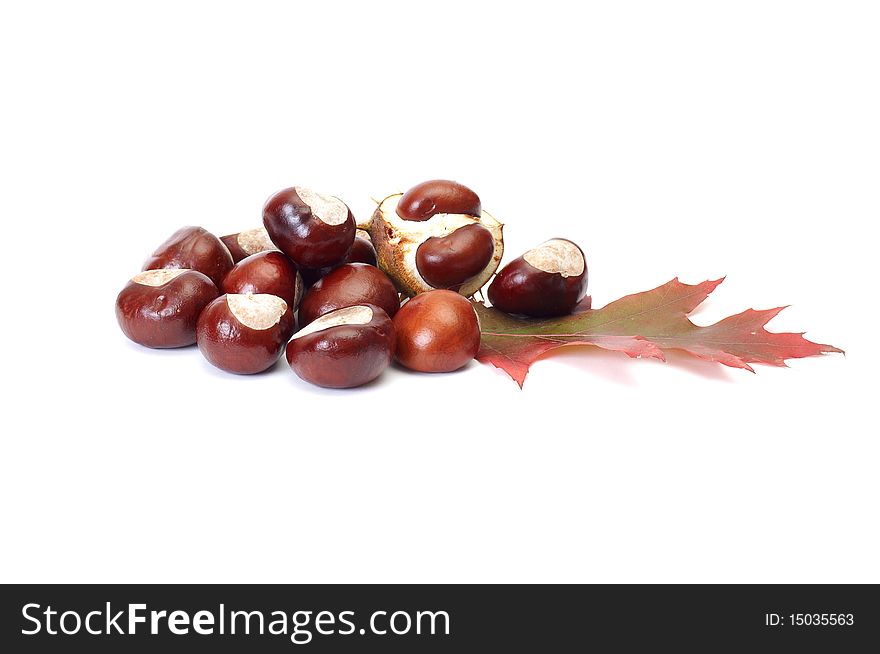 Nice Autumn Leaves And Chestnuts On A White.