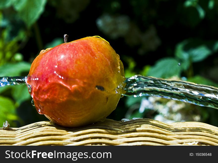 An apple with water splashed on it