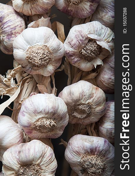 Close up image of several garlic
