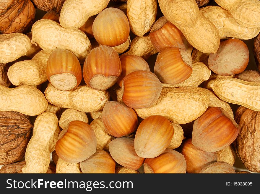 Mixed nuts: hazelnuts, walnuts, and peanuts. Mixed nuts: hazelnuts, walnuts, and peanuts