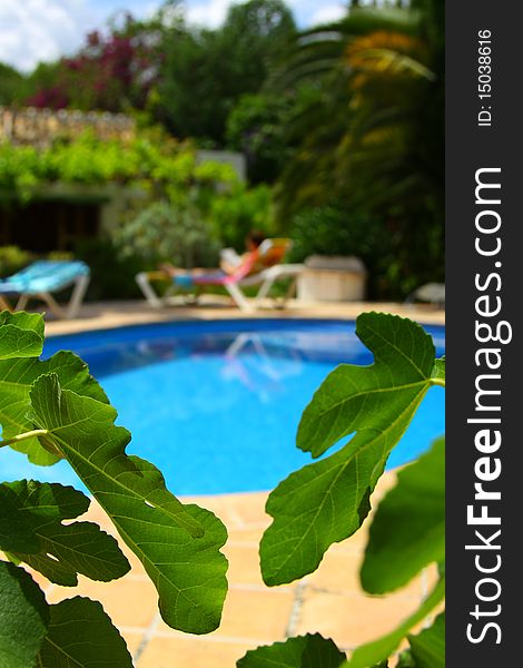 A woman reading and relaxing on a sun lounger by a pool in a tropical location with leaves in the foreground. A woman reading and relaxing on a sun lounger by a pool in a tropical location with leaves in the foreground