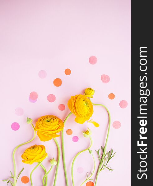 Beautiful fresh yellow color ranunculus on pastel pink background with confetti. Beautiful fresh yellow color ranunculus on pastel pink background with confetti.