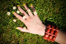 Female Hand On The Grass, Small Daisy Flowers Royalty Free Stock Photo Female Hand On The Grass, Small Daisy Flowers Royalty Free Stock Photo