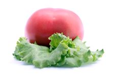 Tomato And Salad Royalty Free Stock Photo Tomato And Salad Royalty Free Stock Photo