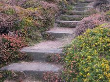 Coastal Path On Jersey Stock Photo Coastal Path On Jersey Stock Photo