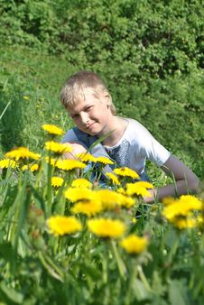 Boy And Dandelions Royalty Free Stock Photography Boy And Dandelions Royalty Free Stock Photography