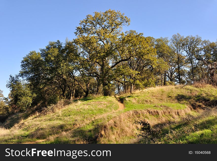 Northern California Wildlife Refuge on Sacramento River