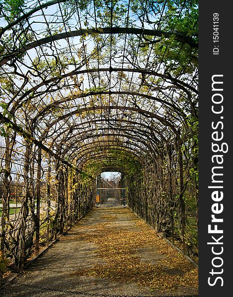 Walkway in the garden covered with arc of tree trunk and leaf. Walkway in the garden covered with arc of tree trunk and leaf