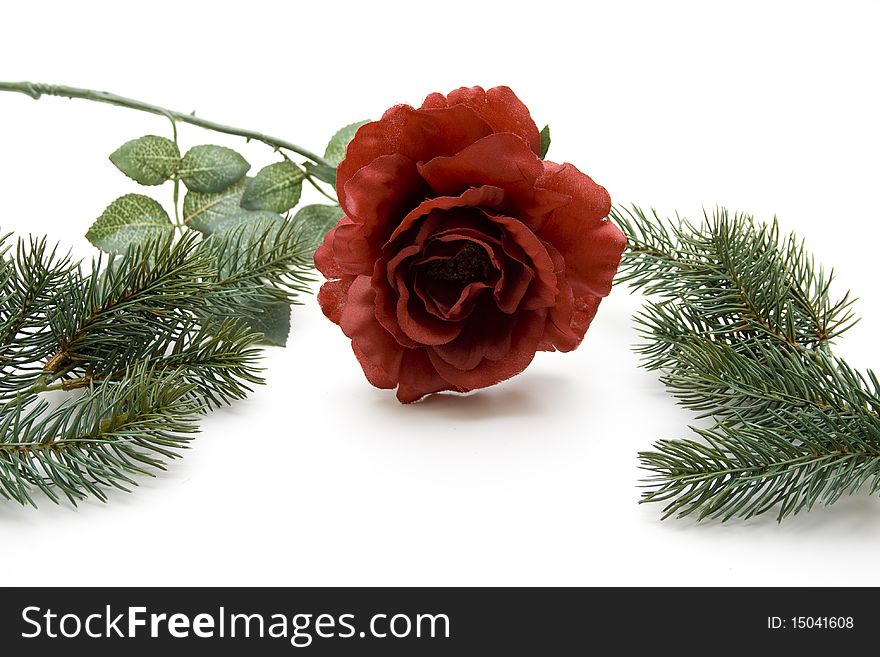 Fir branches with red rose