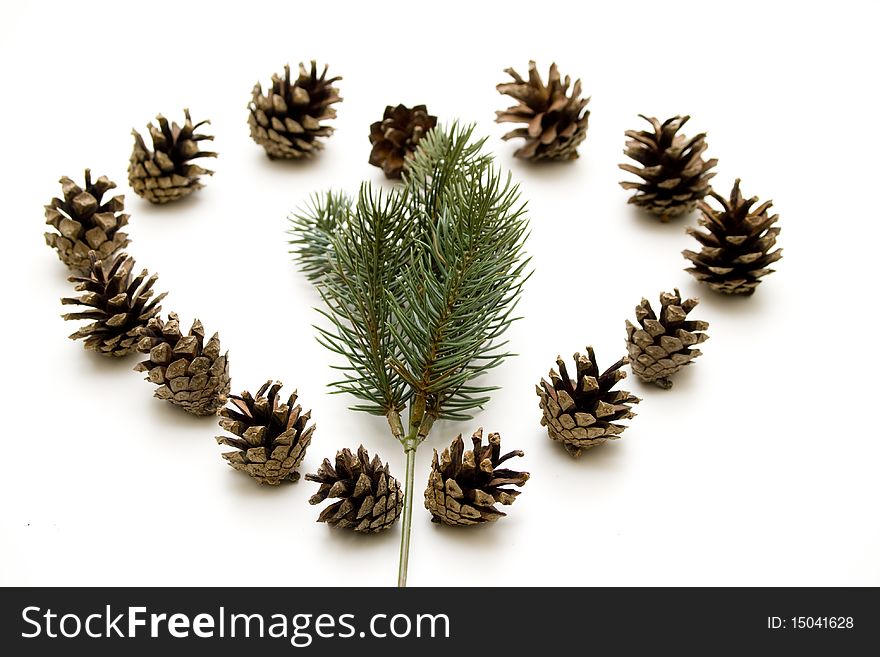 Heart from fir cones with branch