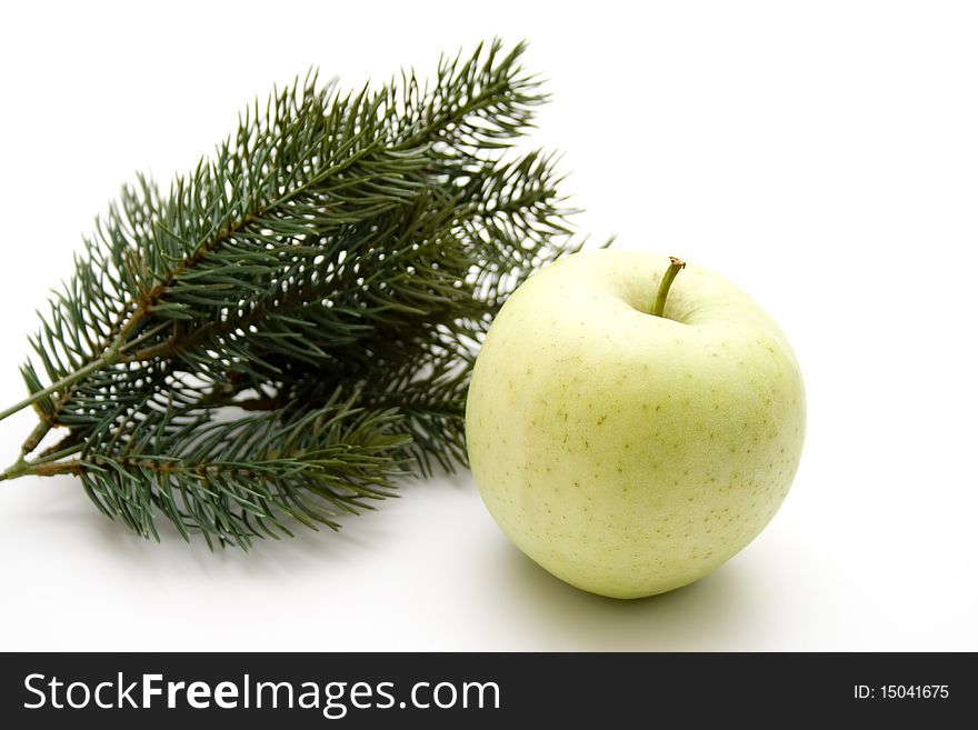 Fir branches with green fresh apple. Fir branches with green fresh apple