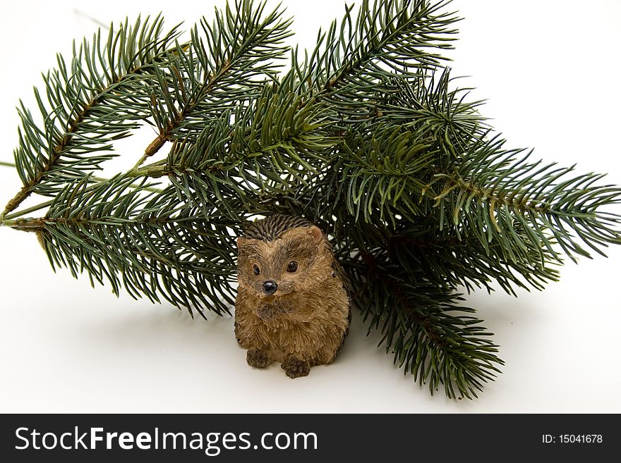 Fir Branches With Hedgehog