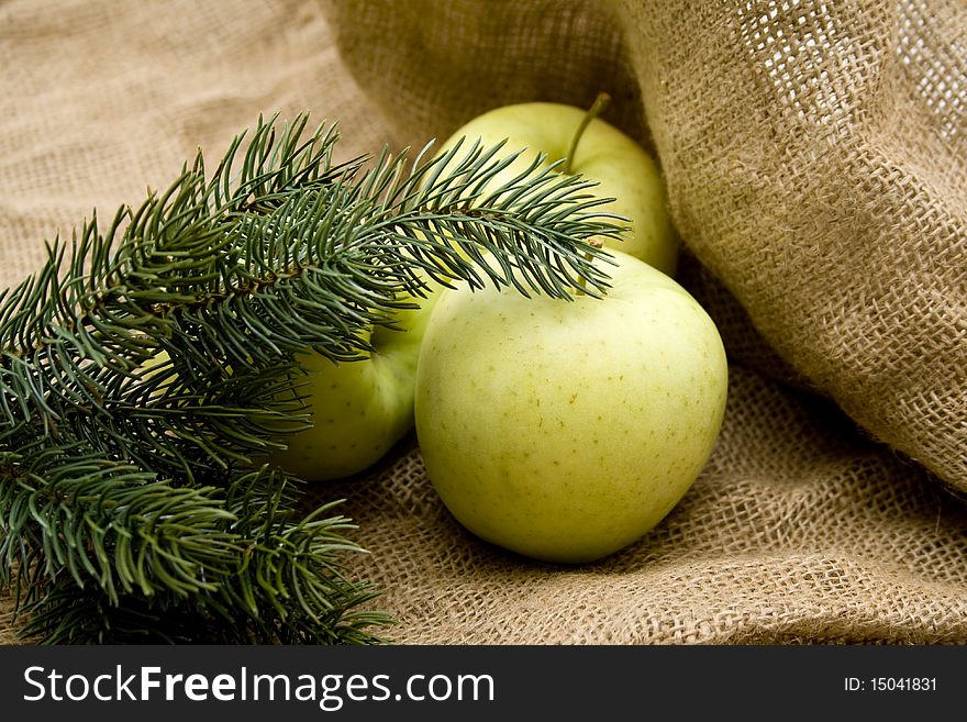 Fir branches with green fresh apple. Fir branches with green fresh apple