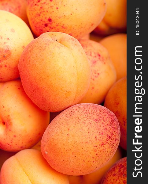 Close up shot of a pile of apricot fruits. Close up shot of a pile of apricot fruits