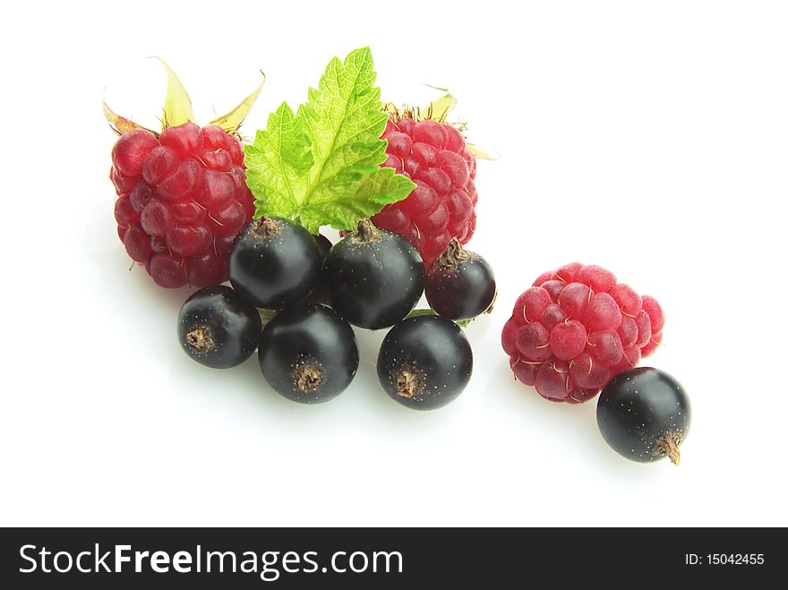 Raspberry and black currant on white background