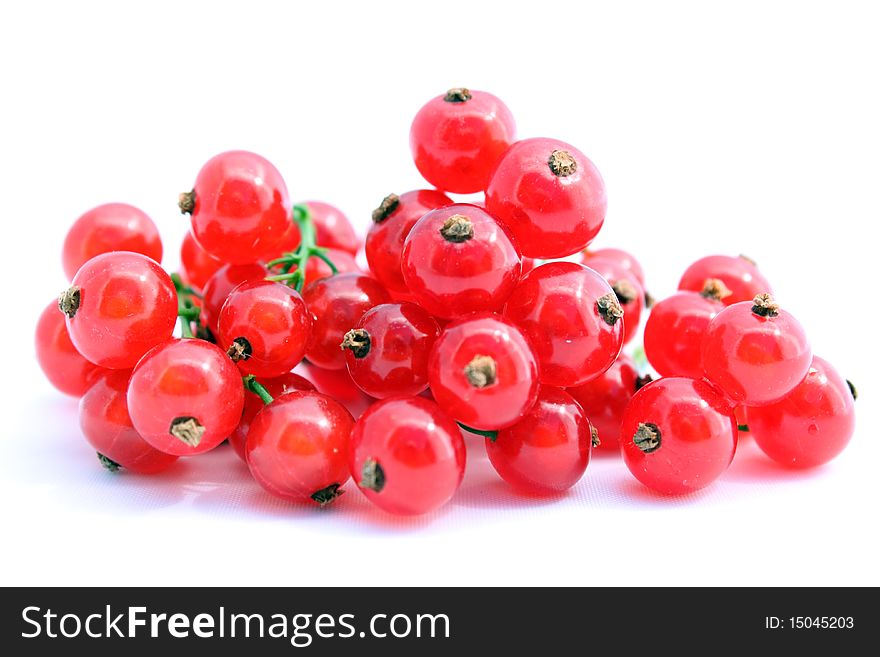 Red berries of the red currant on white background