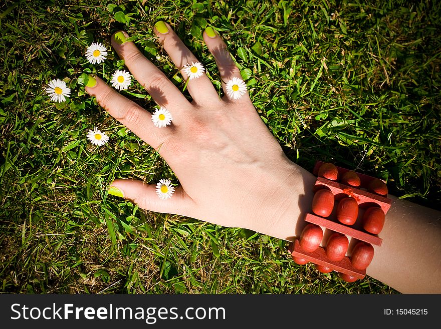 Young female hand on the ground holds small daisy flowers,. Young female hand on the ground holds small daisy flowers,