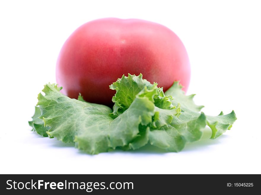 Red tomato and green salad on white background. Red tomato and green salad on white background