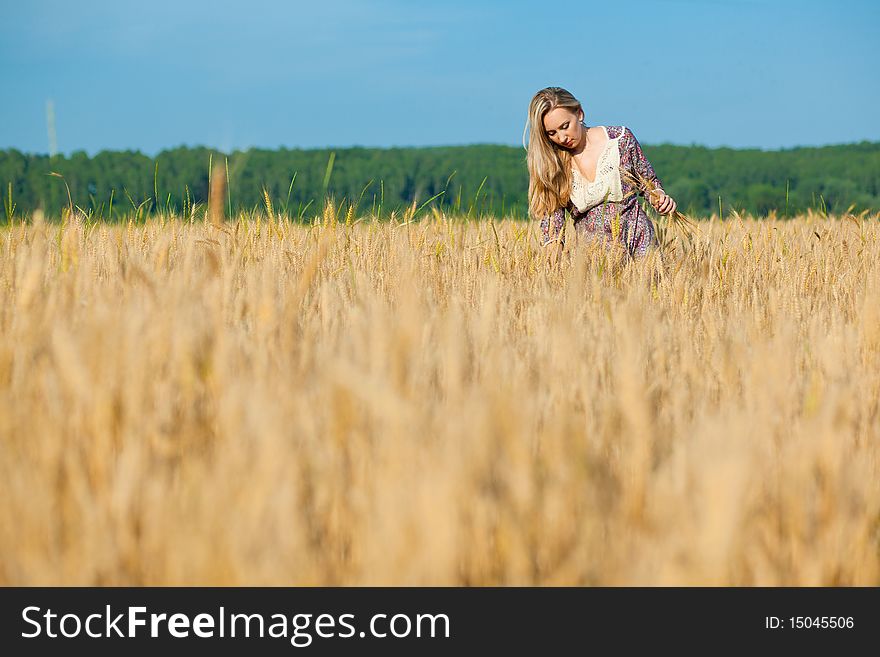 Young beauty girl in the wheat field