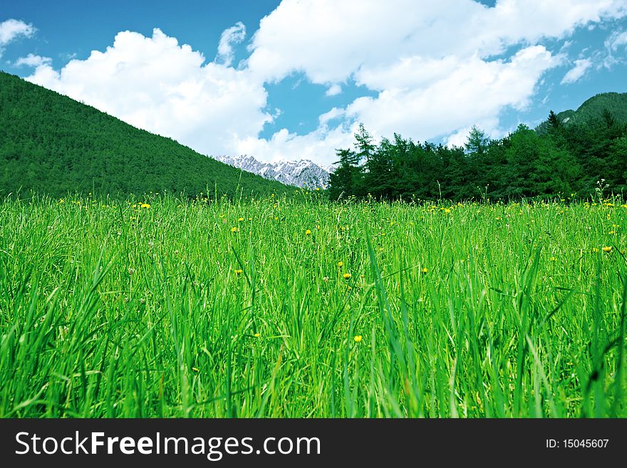 Green Grass, Mountains And Forest Below Clouds.