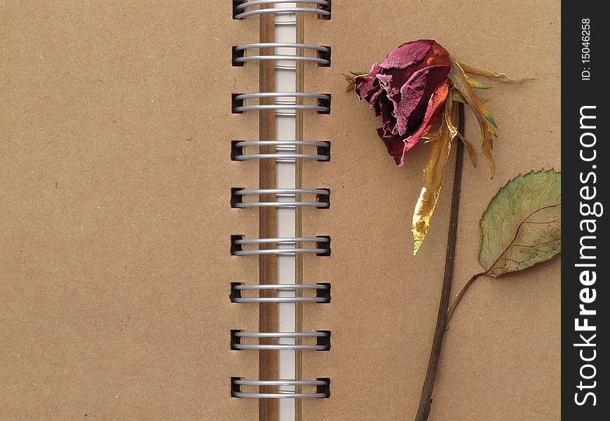 Dead red rose on the old style brown page notebook. Dead red rose on the old style brown page notebook