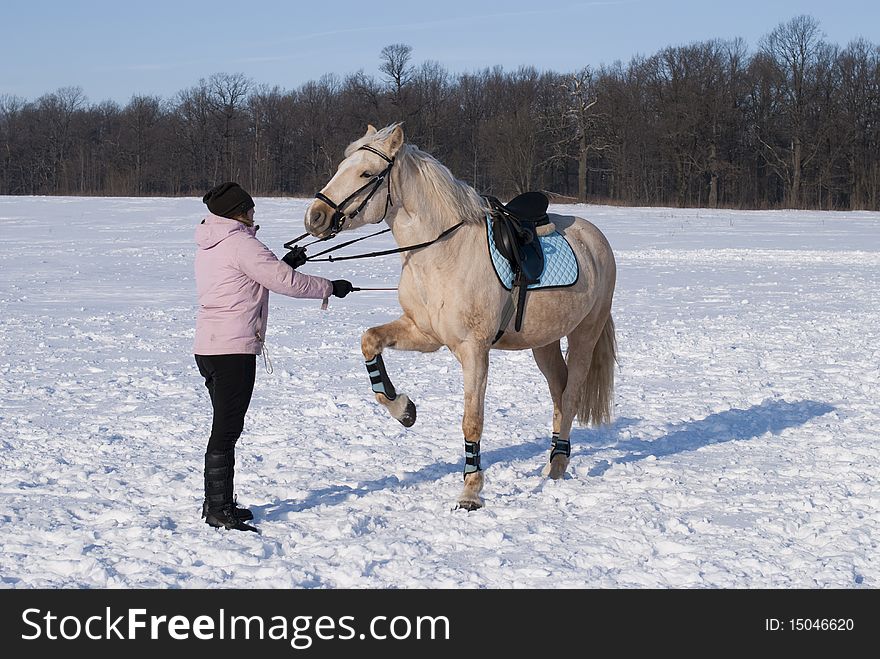 Young girl training her horse in winter. Young girl training her horse in winter