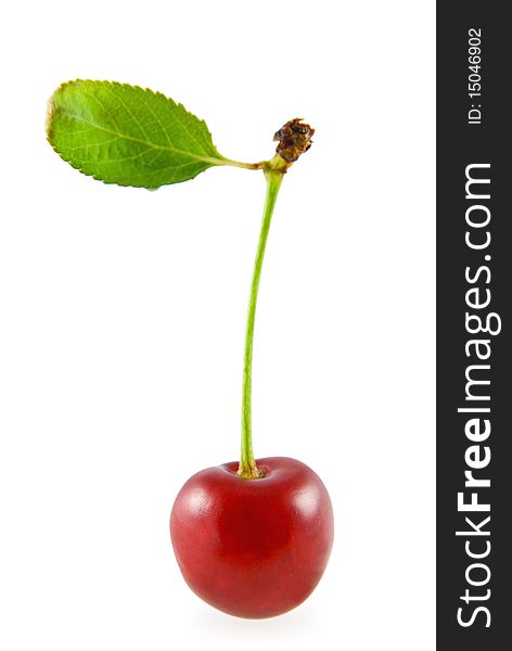 Cherry with green leaf on white background. Cherry with green leaf on white background