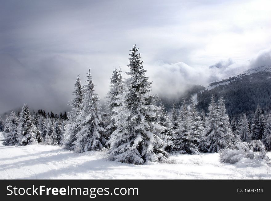 Winter scenery in the mountains with the arrival of the fog