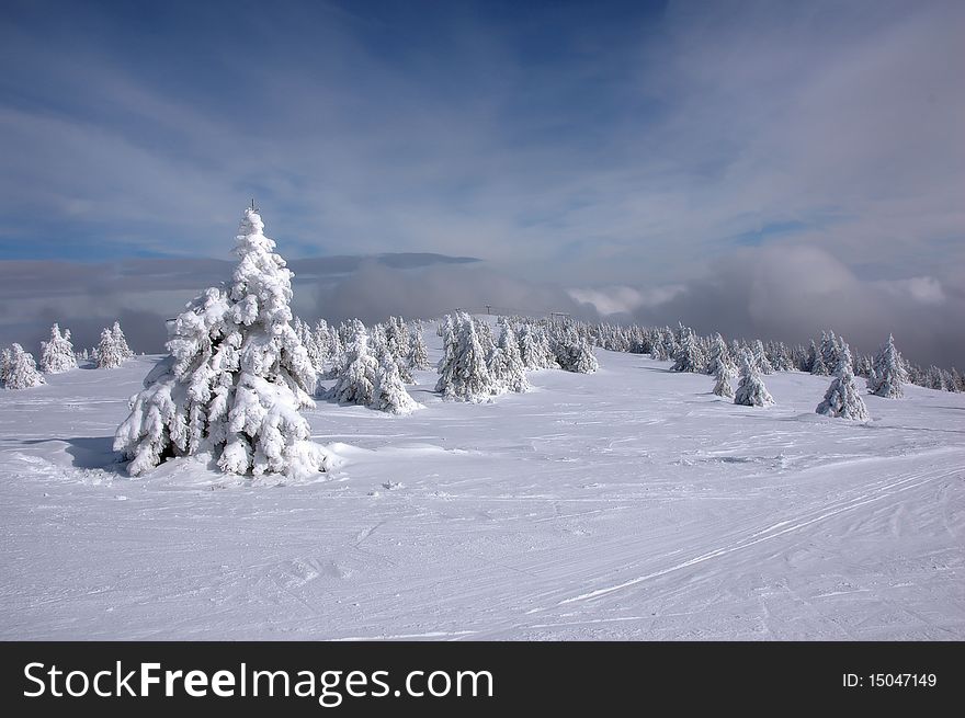 Winter scenery in the mountains with the arrival of the fog