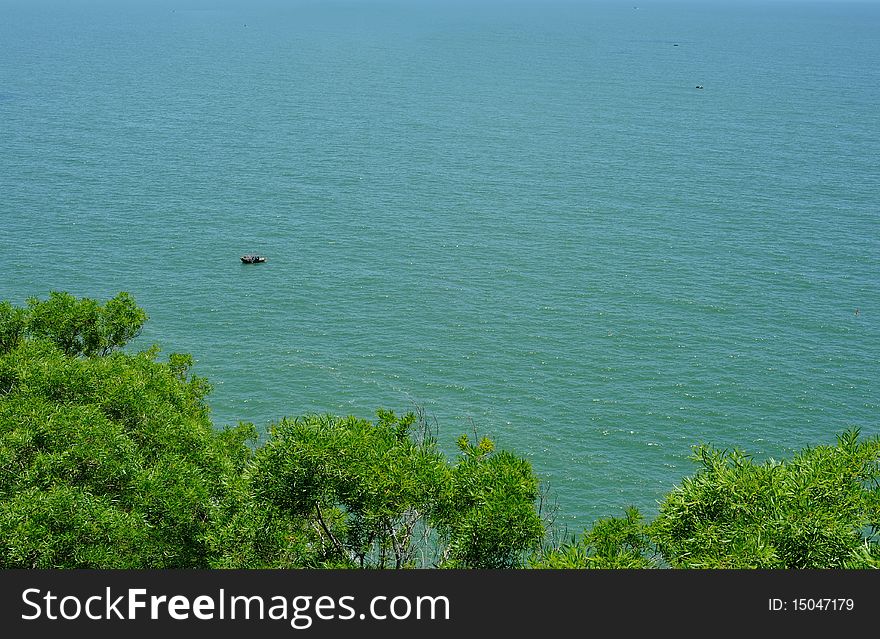 Overlooking the sea and the trees