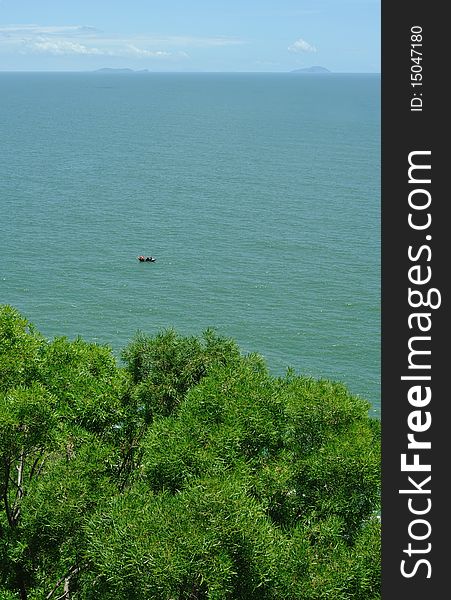 Overlooking the sea and the trees