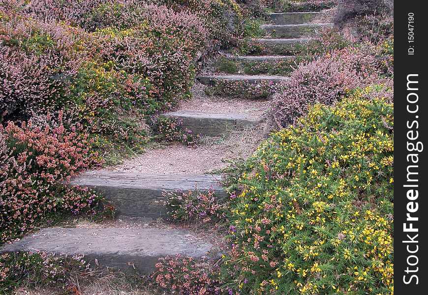 Coastal Path On Jersey