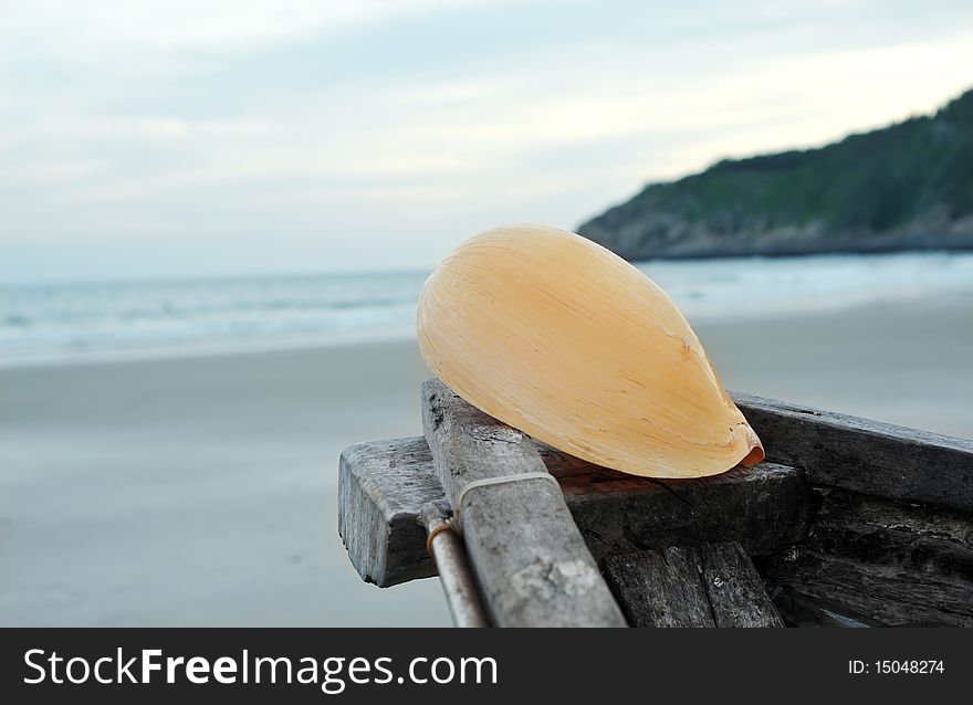 Close-up of conch on the ship head. Close-up of conch on the ship head