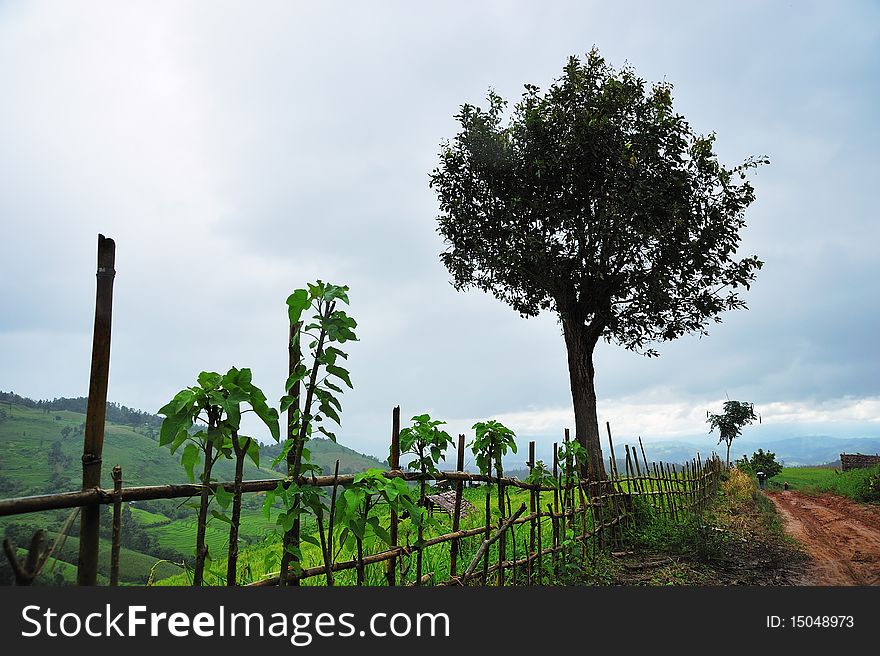 Cloudy sky before raining, north of Thailand