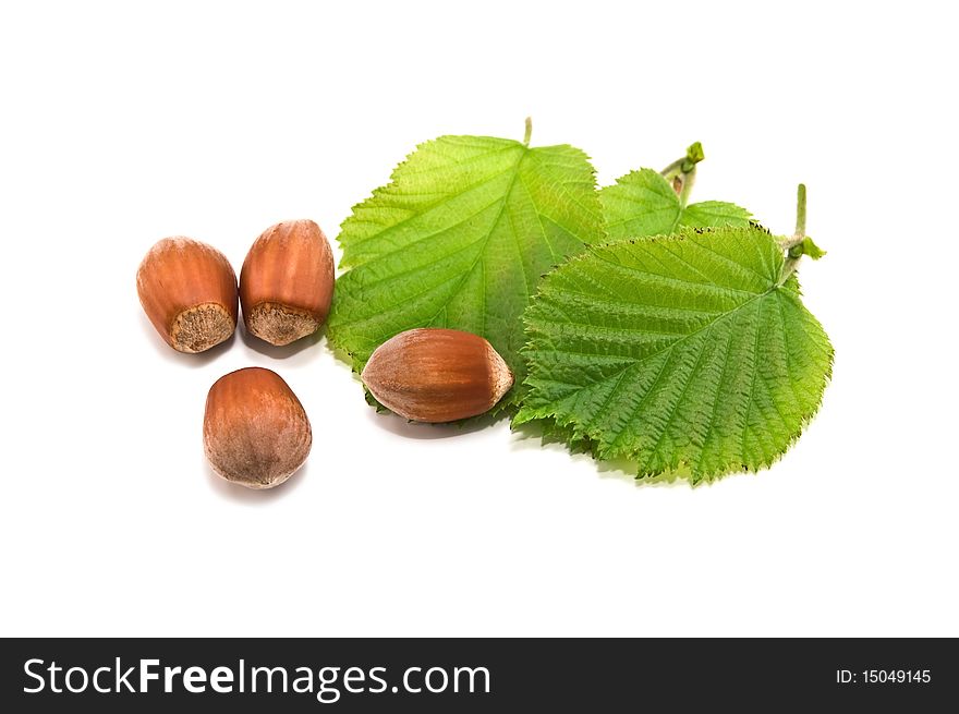 Haselnuts and leaves isolated on white. Haselnuts and leaves isolated on white
