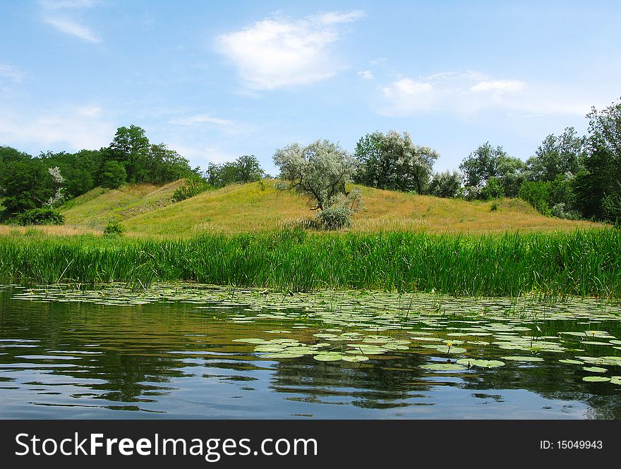 Meadow near the river