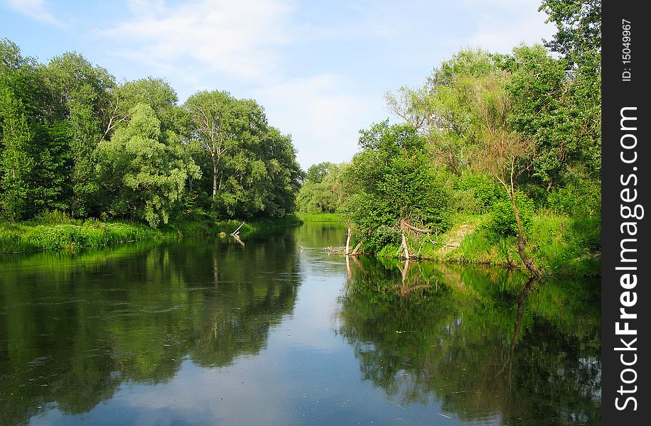 The image of the river and forest