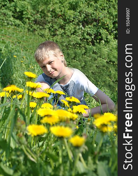 Boy and dandelions. In summer, sunny day.