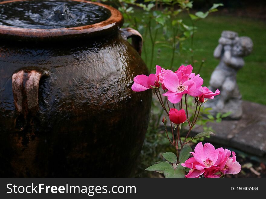 Olive Oil Jar Used As Water Fountain In Garden With Roses In Foreground And Stone Cherub In Background