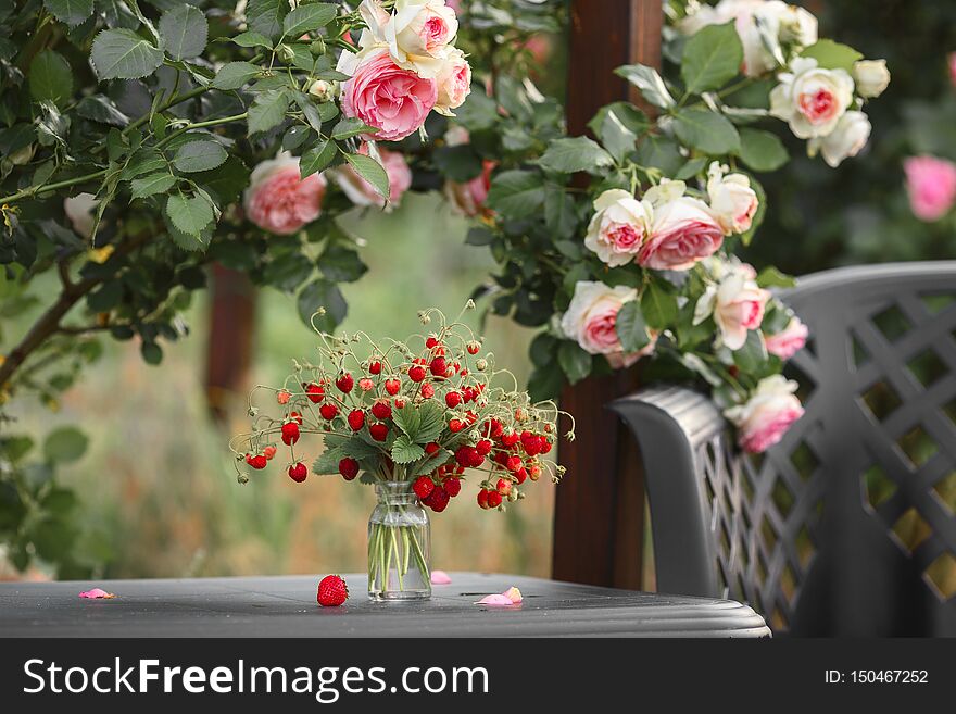 A beautiful garden with blooming roses, tasty wild strawberries and a chair.