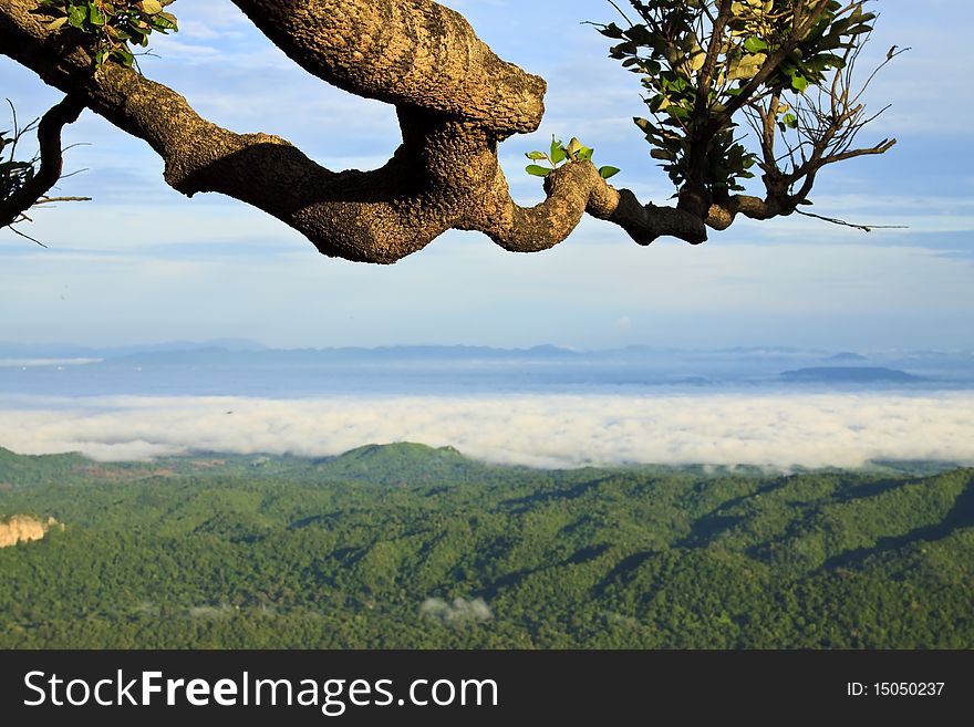 Beautiful clouds and fog with mountain