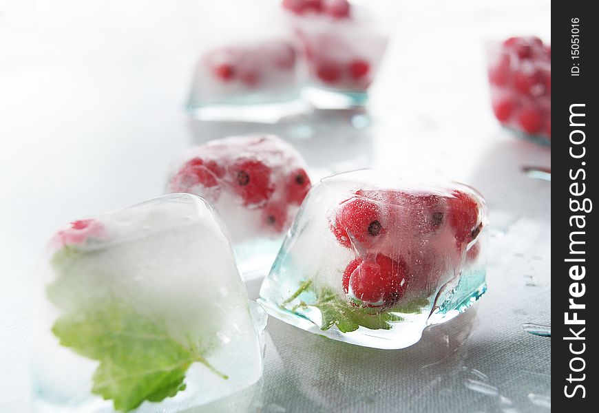 Ice beauty red gooseberry,little red balls,fruit. Ice beauty red gooseberry,little red balls,fruit