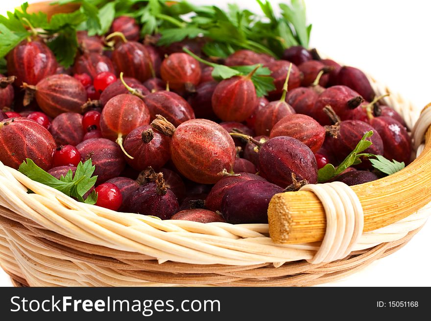 Basket with a red gooseberry and a red currant