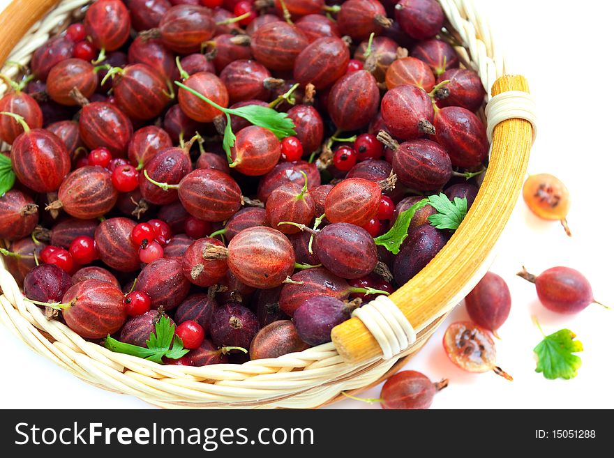 Basket with a red gooseberry and a red currant