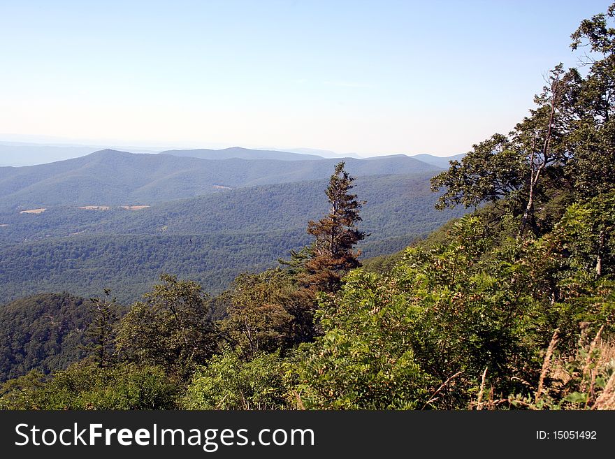 Shenandoah Valley during summer with views of blue ridge mountains