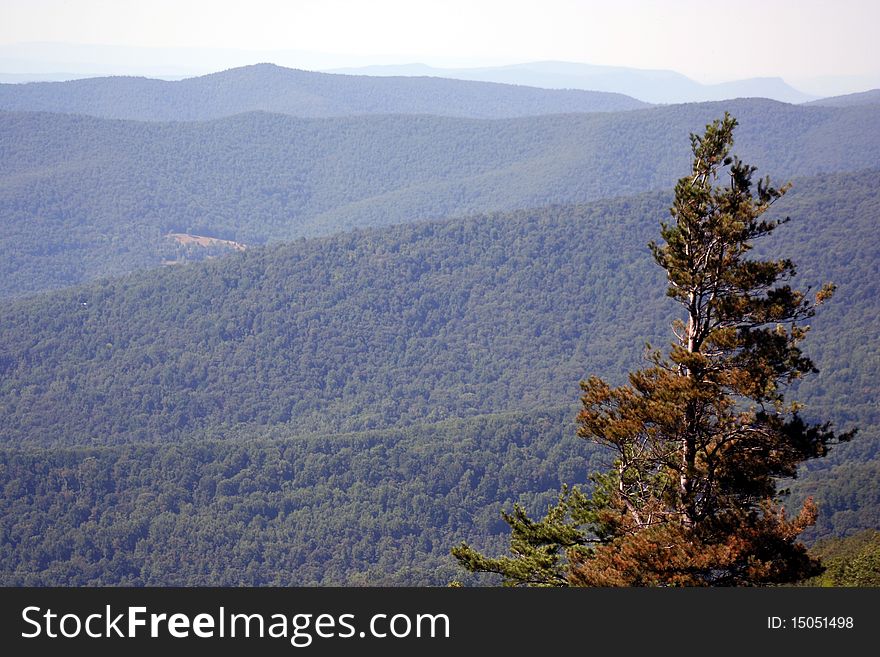 Shenandoah Valley during summer with views of blue ridge mountains