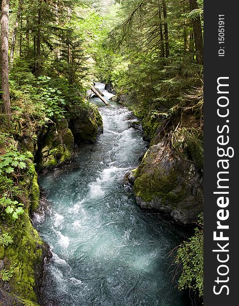 A glacier river running through the Olympic National Park, Washington. A glacier river running through the Olympic National Park, Washington.