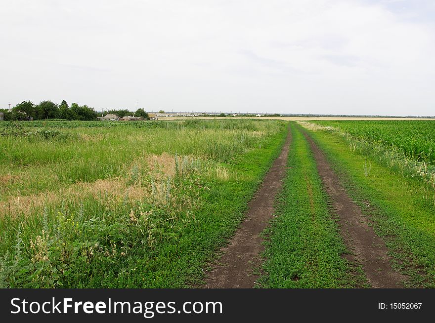 The dirt road in the village in summer. The dirt road in the village in summer